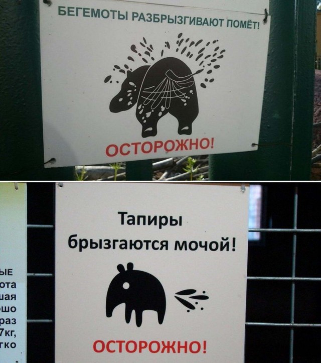 Картинки и мемы для настроения - 19