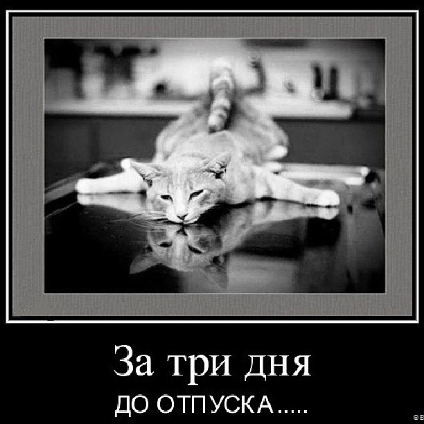 После развода