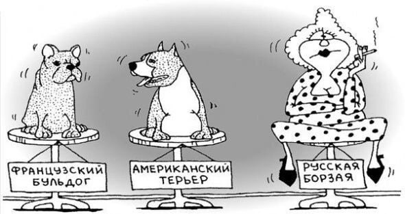 Осада Козельска