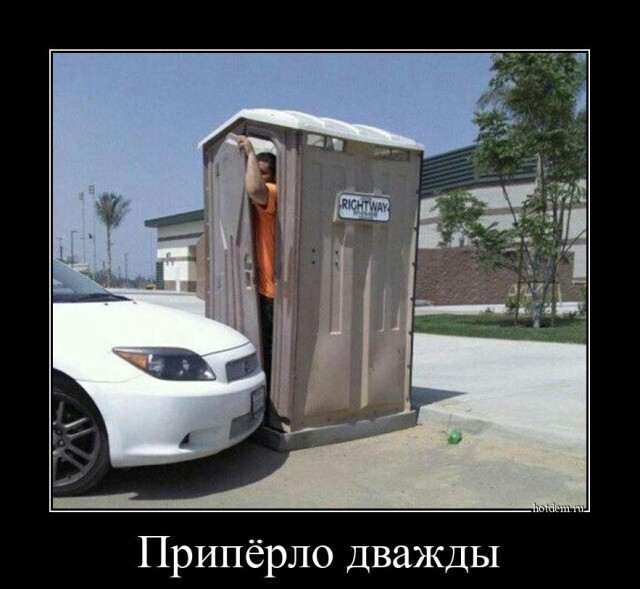 Картинки