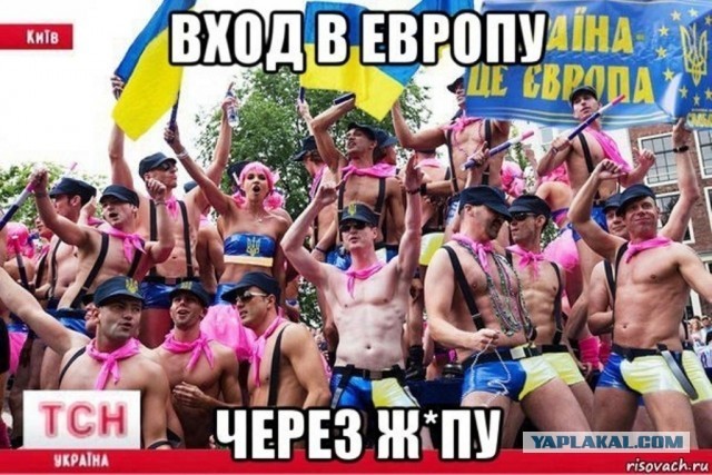 Украинский суд отказался считать нацистской символику дивизии СС «Галичина»