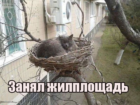 Так себе картинки 25.12.22