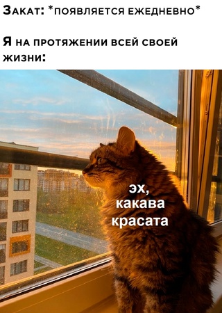Немного картинок для настроения - 161