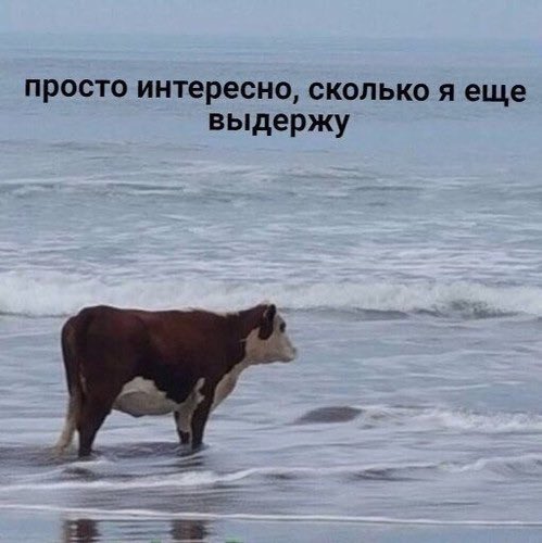 Народная меДИЧина 3027