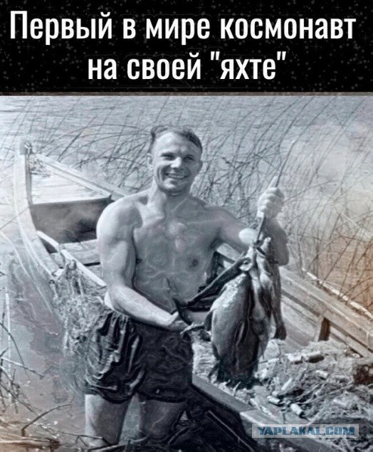 Так себе картинки 02.11.23
