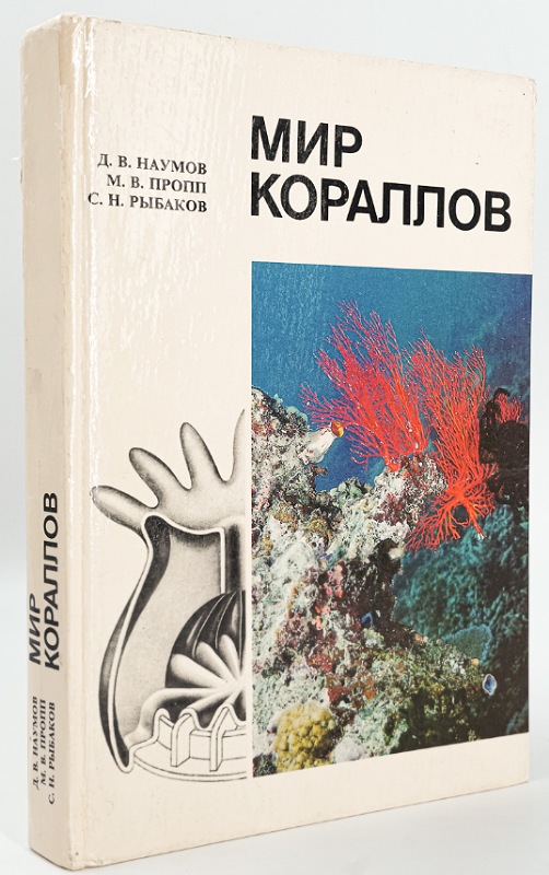 Гигантская тридакна: Моллюск с синей плотью весит 300 кг и производит жемчужины до 34 кг. Может ли эта махина зажать человека?