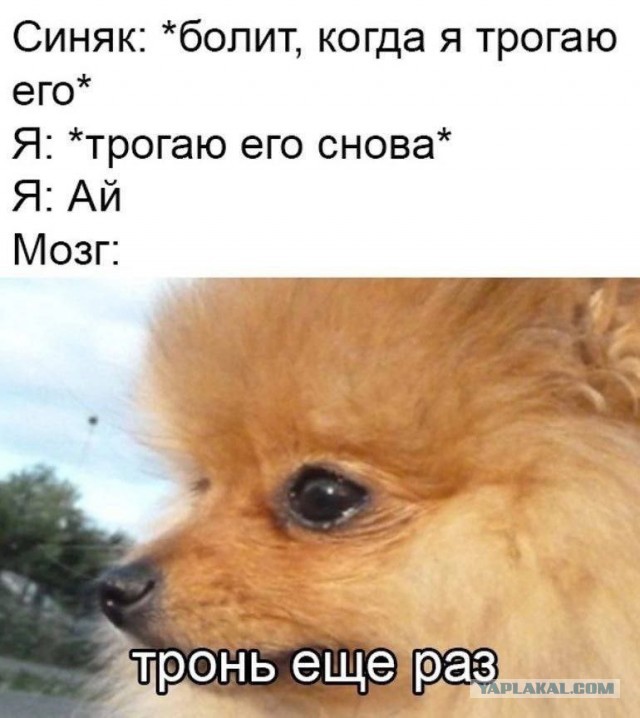 Жуткое убийство произошло в Нижнем Новгороде.