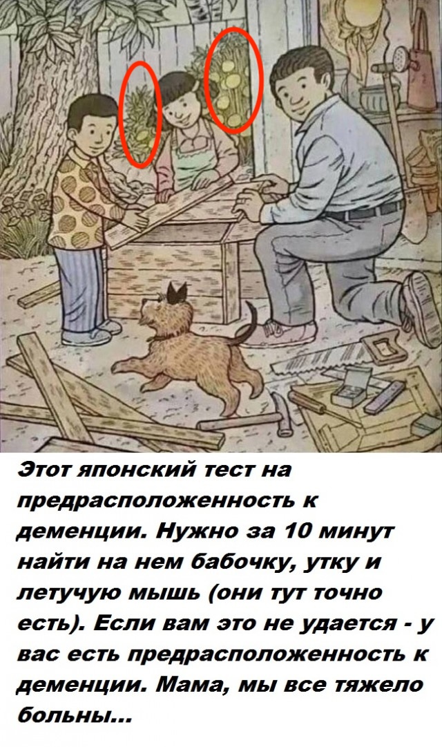 Весёлый полтишок 19.09.24