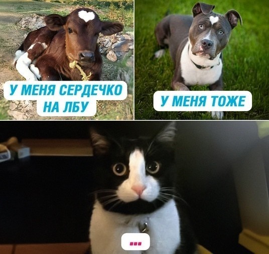Давайте опубликуем