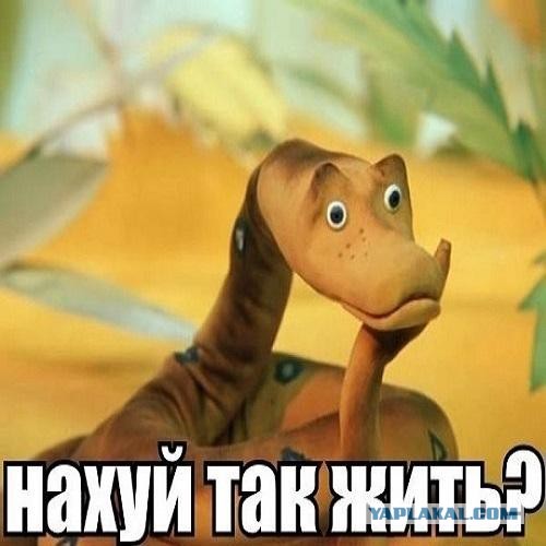 Написал подруге "спс" вместо "спасибо" и получил в ответ максимально душную инструкцию