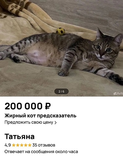 Какая муха тебя укусила?