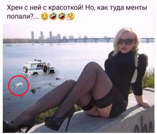 Завалялось тут случайно немного забавных картинок