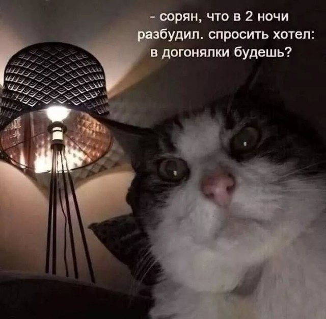 Веселые картинки в понедельник (18.08)