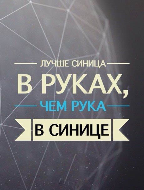 Среда обитания 0.1