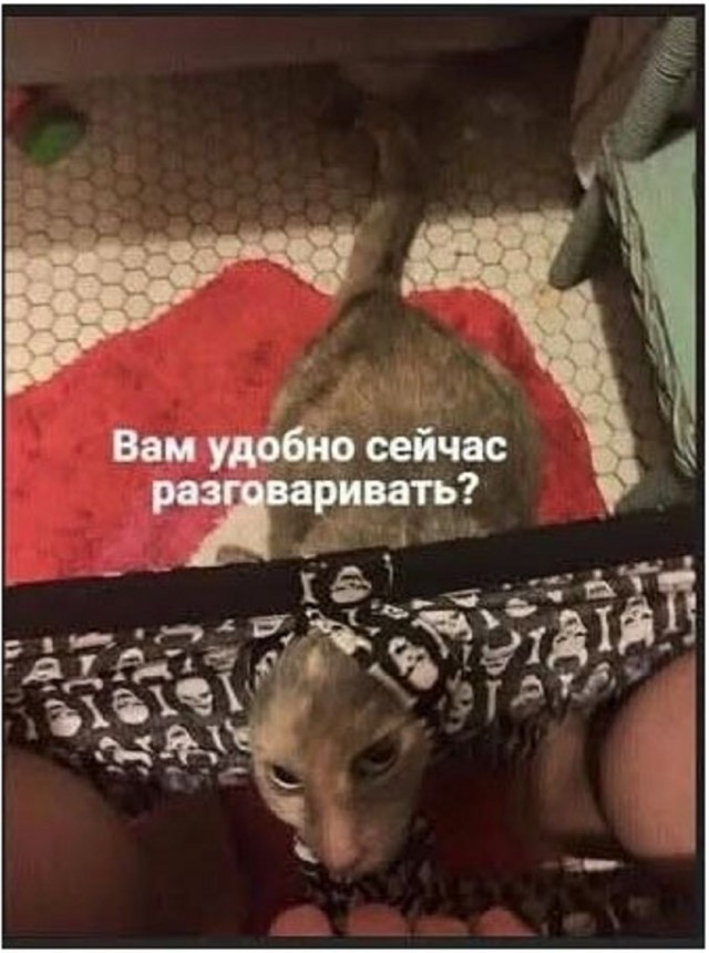 Так себе картинки 19.11.25