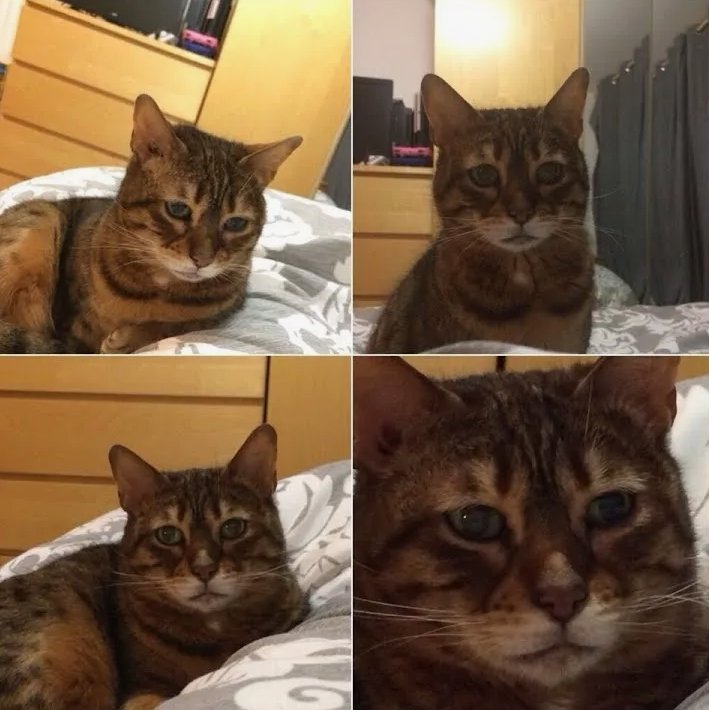 Почему люди теряются и забухивают. Как мыслят такие люди?