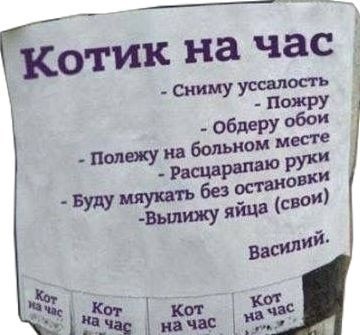 Четверговые картинки