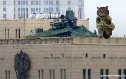 Фотожаба: Грустный котик