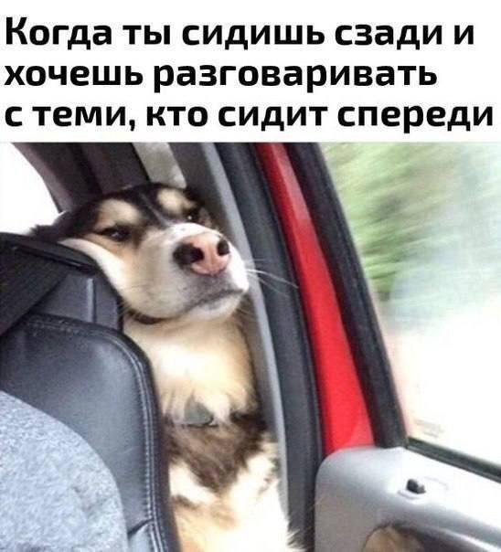 Веселые картинки в понедельник (08.06)