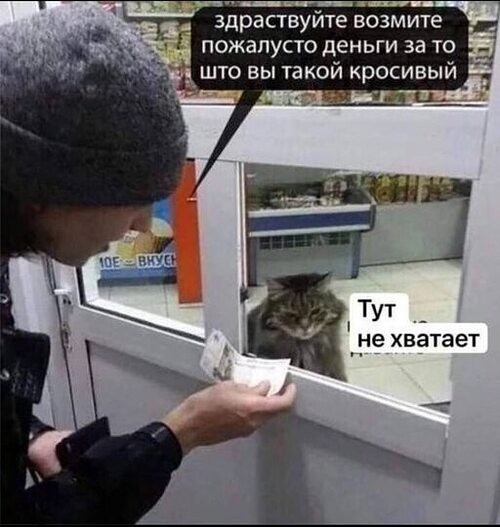 Передоз милоты