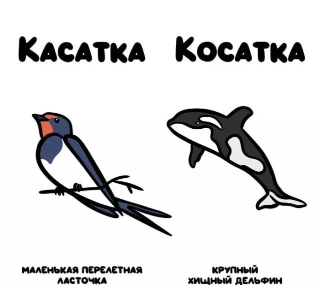 Не, ну а че он...