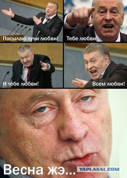 Владимир Вольфович негодует