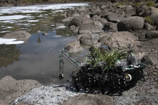 Киборг-завод