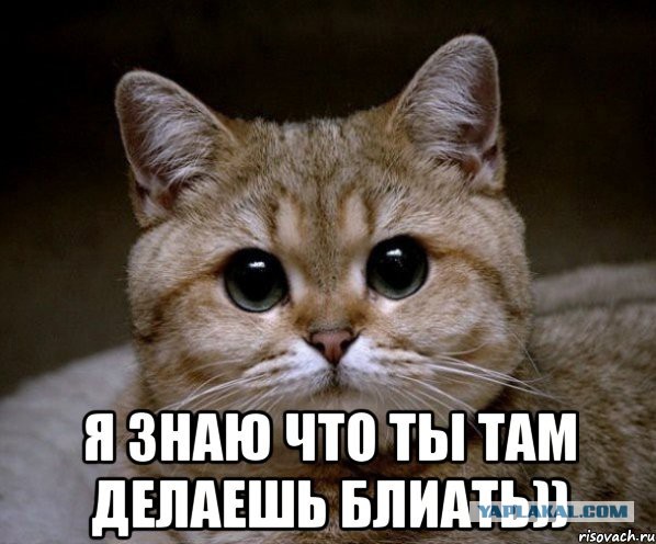 Лайфхак тележки в Ашане