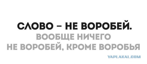 Мини подборка приколов