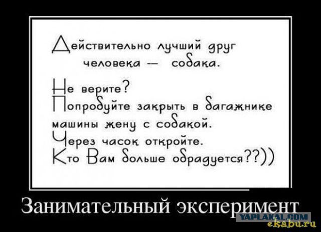 Смешные картинки