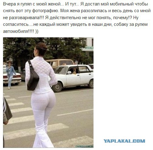 Смешные комментарии из социальных сетей (40 фото)