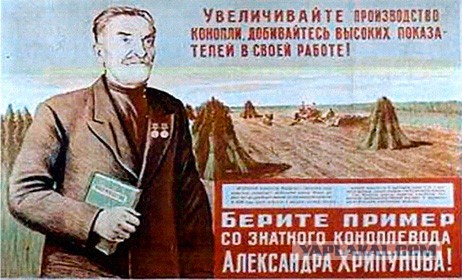 Нина спектор молодец