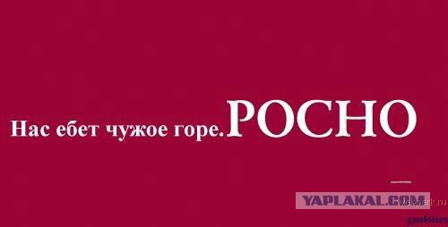 Подборка смешных картинок :)