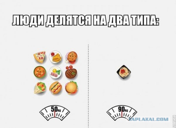 Картинки из интернетов