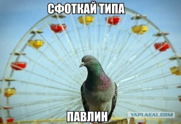 Cмешные баяны
