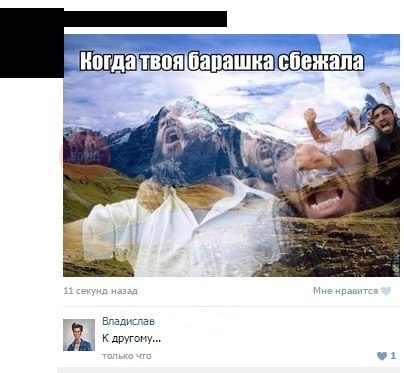 Смешные комментарии из социальных сетей