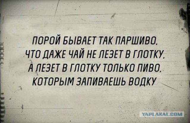 Картинки