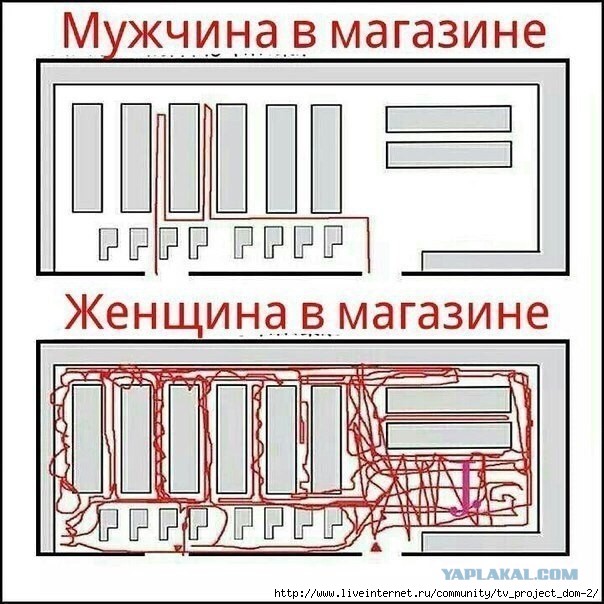 Все женщины одинаковы