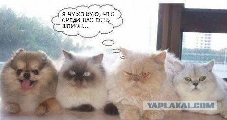 Улыбнемся в понедельник!