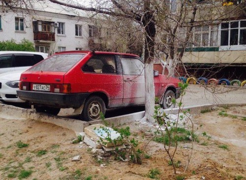 Весёлые картинки
