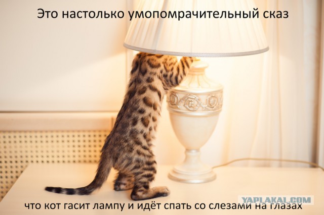 Неадекватности и адекватности пост