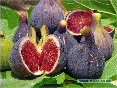 Какие продукты уникальны для Вашего региона?