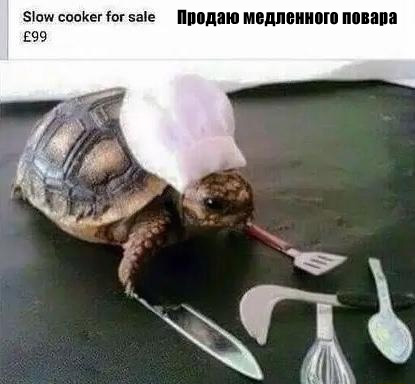 Смешные комментарии 14.06.2015