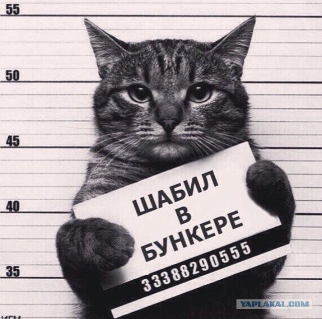Прикольные объявления и надписи