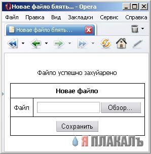 Приколы на МОНИТОРЕ