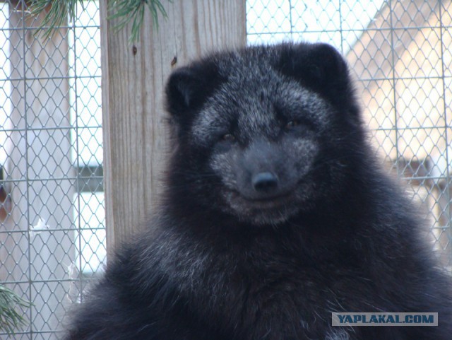 Картинки наркомании