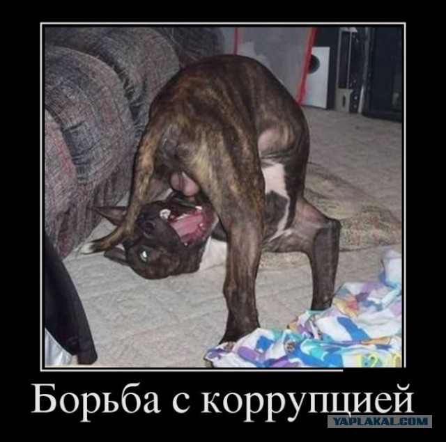 Вчерашний пи..ц , произошедший на Украине