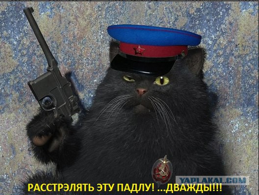 Зарплаты в стране слишком большие