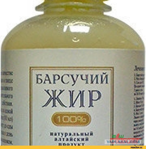 Барсучий Жир Купить В Краснодаре Натуральный