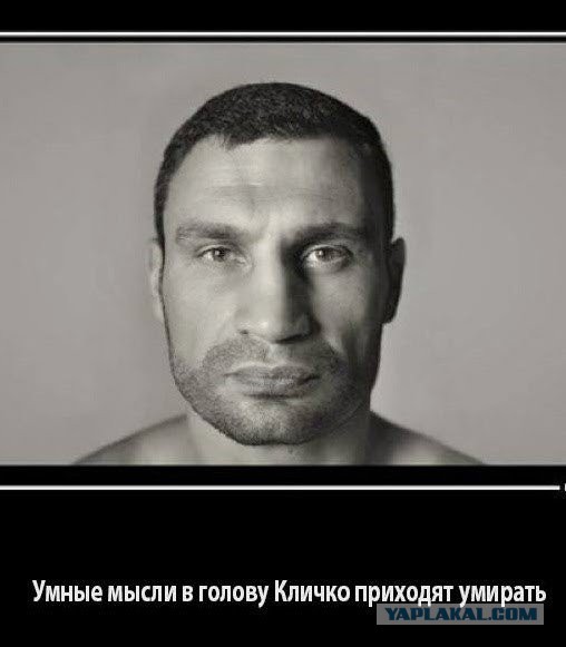 Подборка картинок из сети